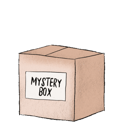 Mystery Box!  📦🎁